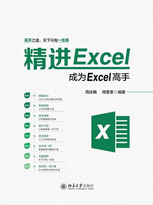 cover image of 精进Excel